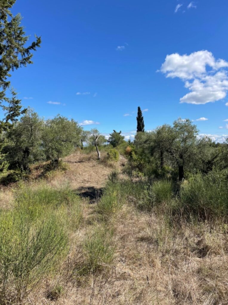 Licensed Development Plot with Approved Villa Project in Giannades, Corfu €299,000 (6)