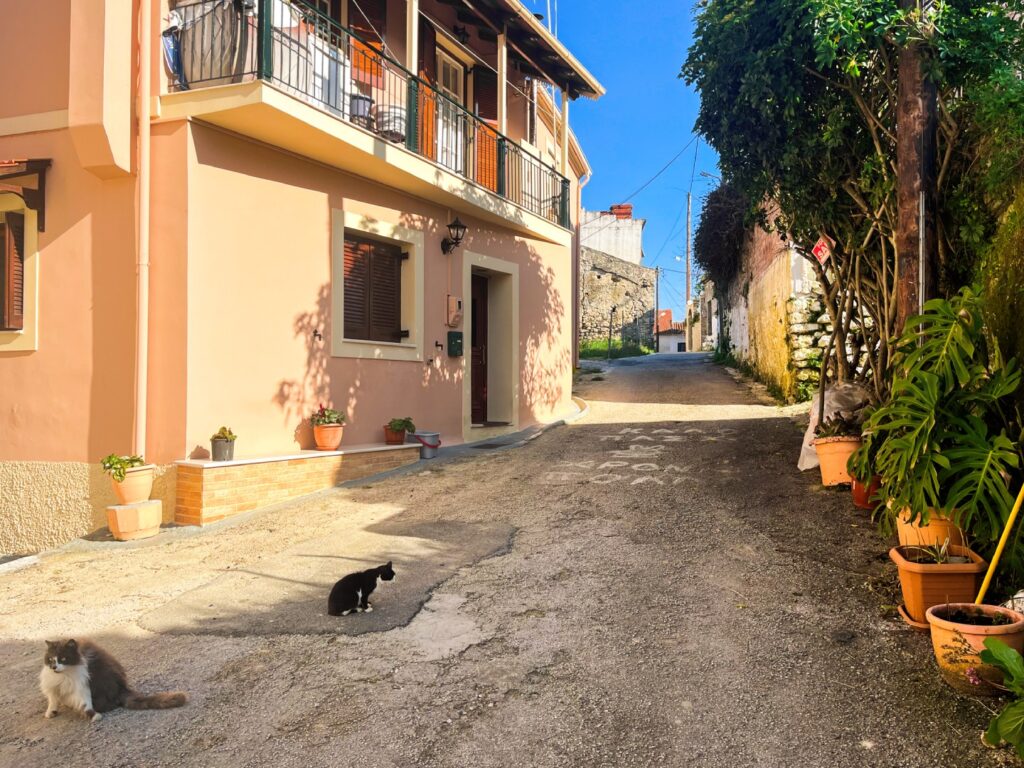 Renovated 3 Bedroom Traditional Stone House in Pagoi, North West Corfu €230,000 (16)