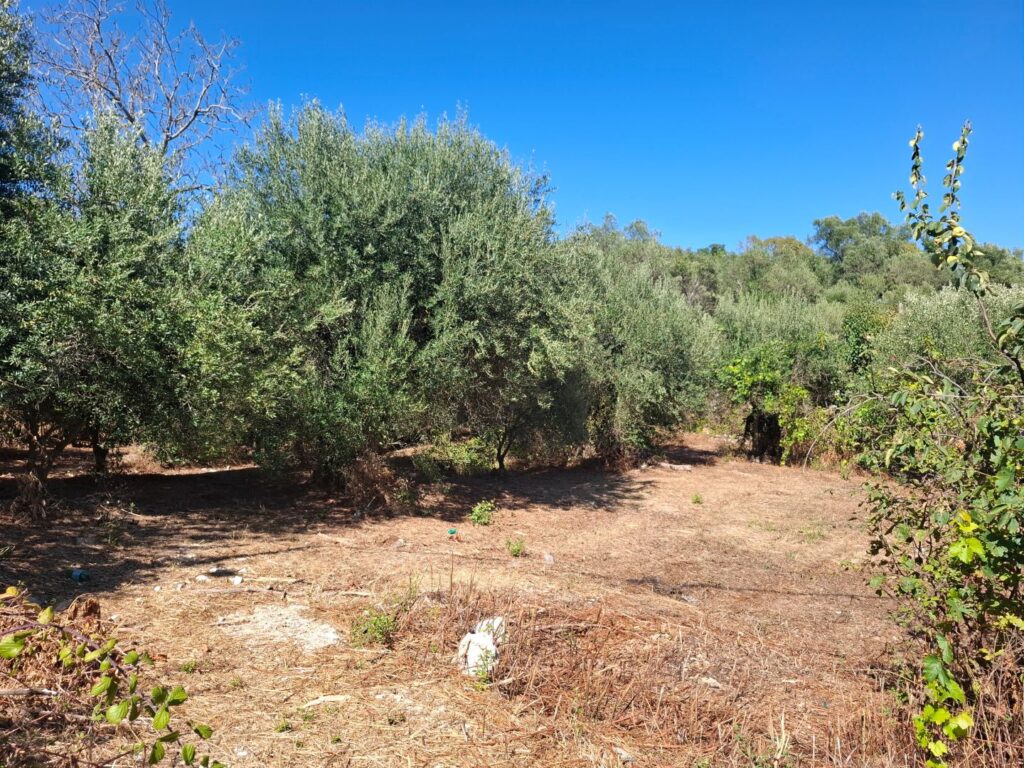 Sea View Buildable Plot in Sinies, North Corfu (1)