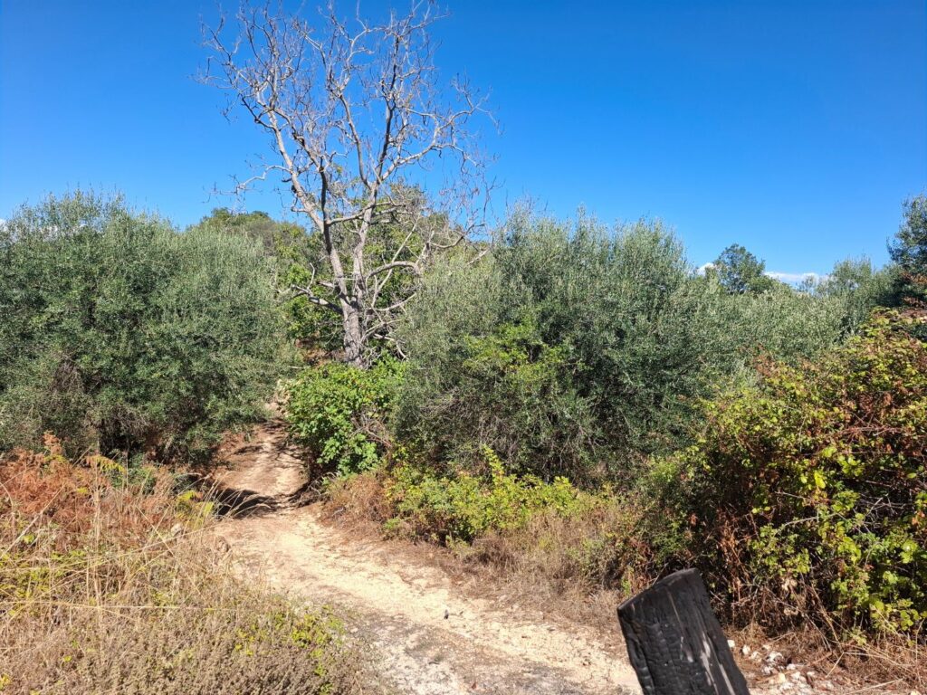 Sea View Buildable Plot in Sinies, North Corfu (10)