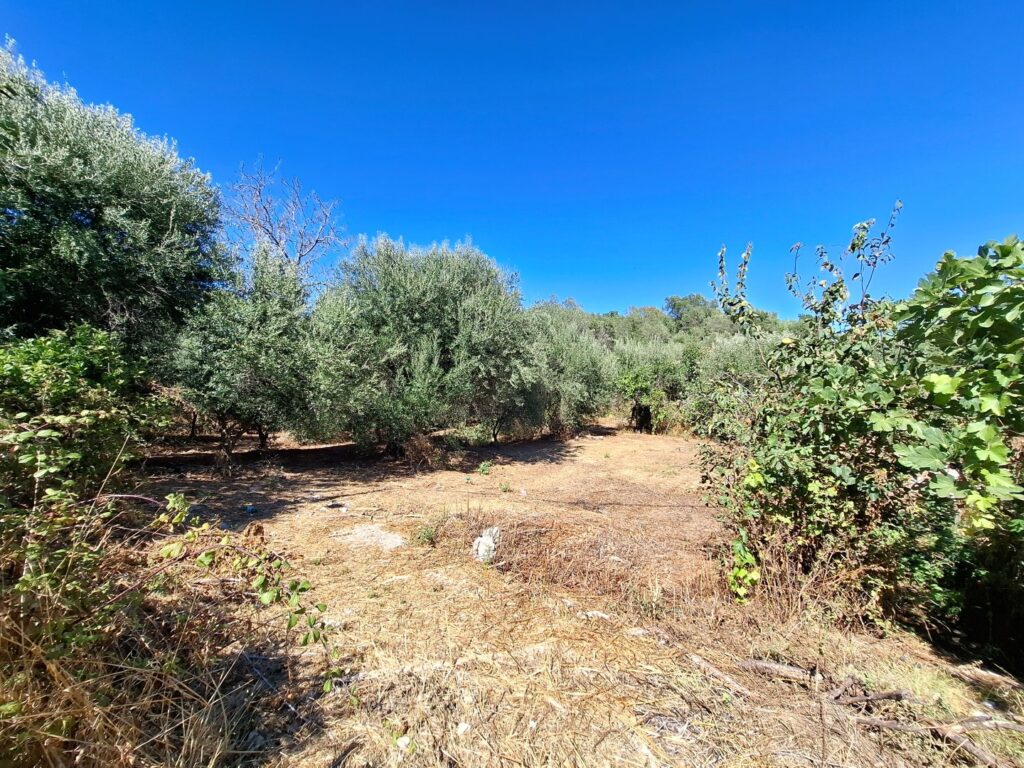 Sea View Buildable Plot in Sinies, North Corfu (2)