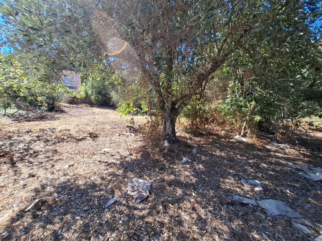 Sea View Buildable Plot in Sinies, North Corfu (5)