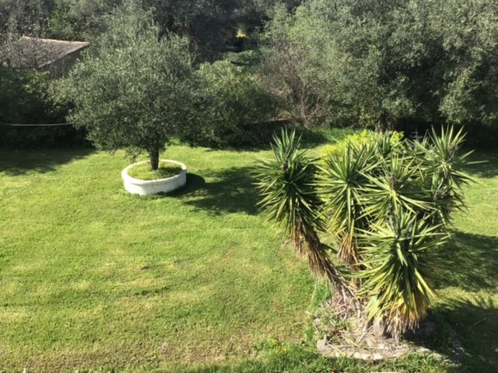 Secluded 2 Bedroom Home with Large Garden Near Roda Beach, North Corfu €250,000 (12)