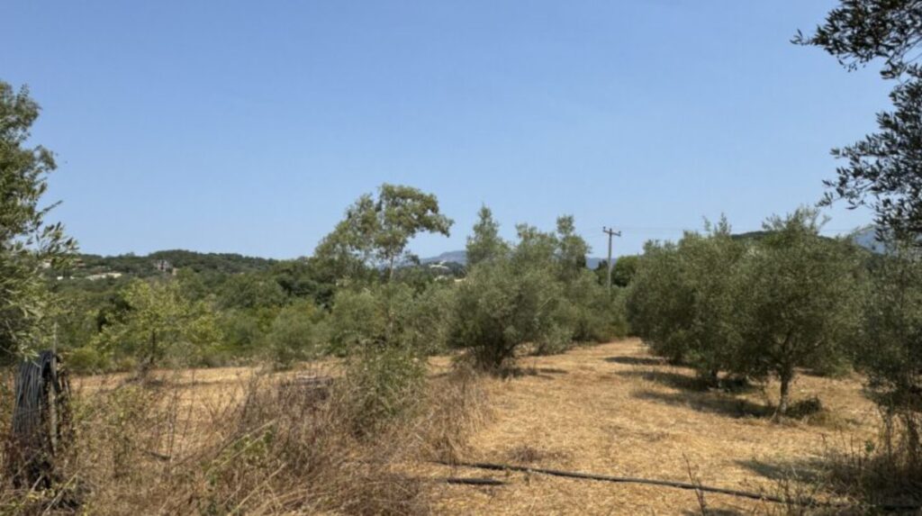 Traditional Stone House on 10,000m² Plot with Additional Buildability in Danilia, Central Corfu €549,000 (8)