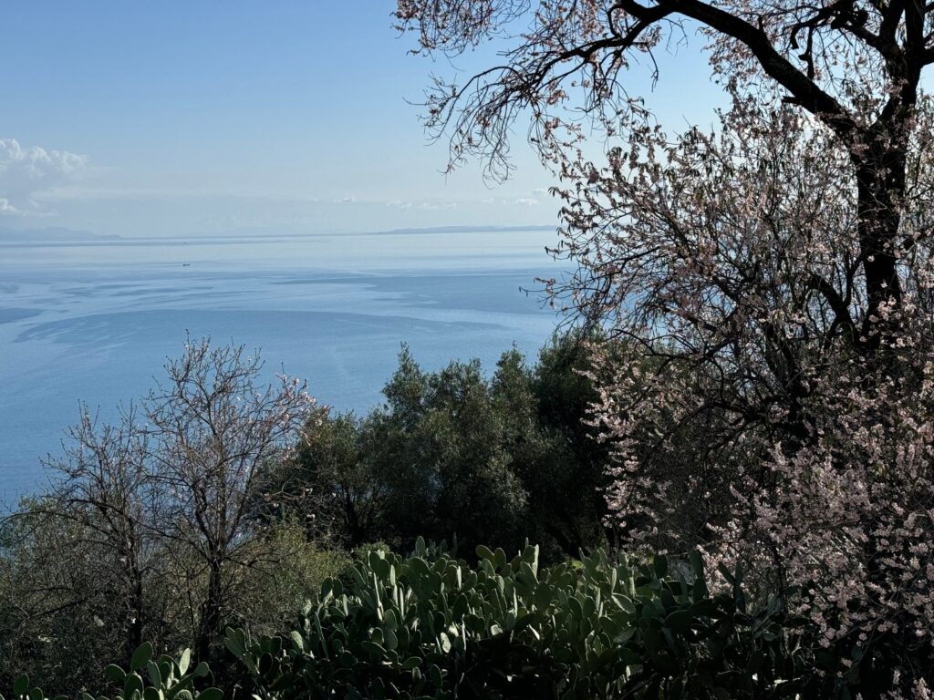 Traditional Village House with Panoramic Sea Views & Renovation Potential in Katavalos, North East Corfu (17)
