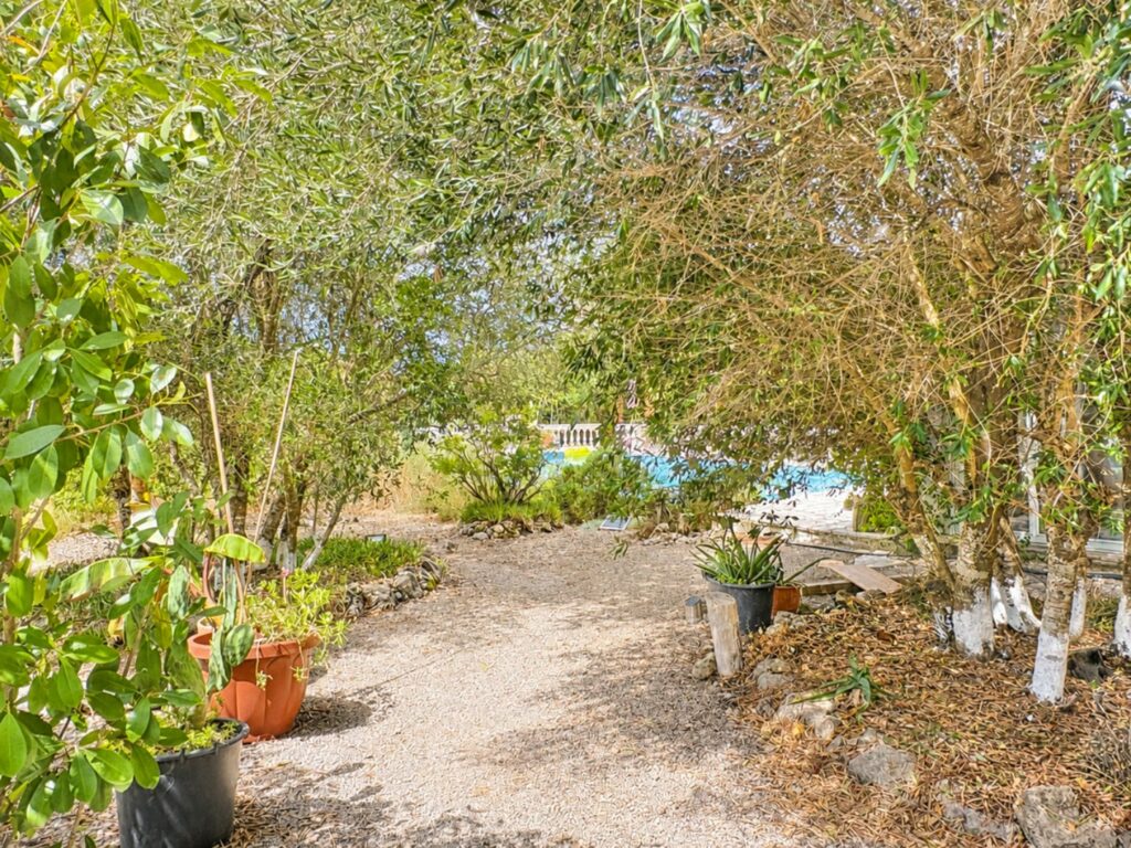 4 Bedroom Villa with Private Pool in Poulades, Central Corfu €590,000 (8)