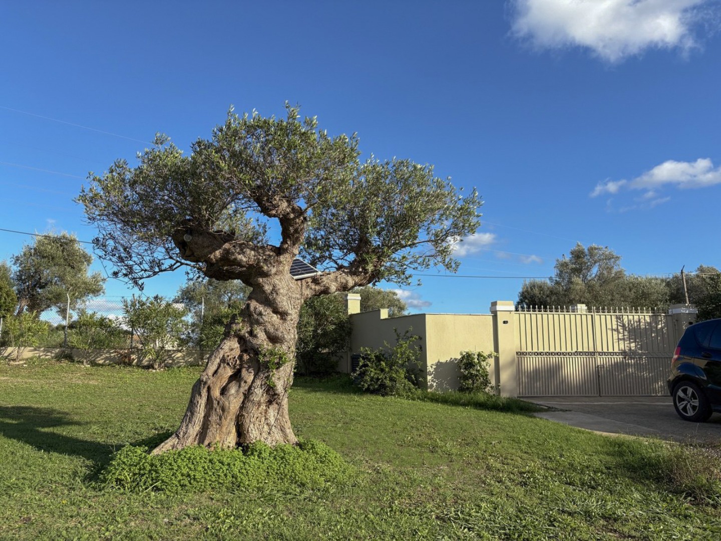 Listing photograph 9 of 43 of the house in Poulades, published by Chase Real Estate Corfu.