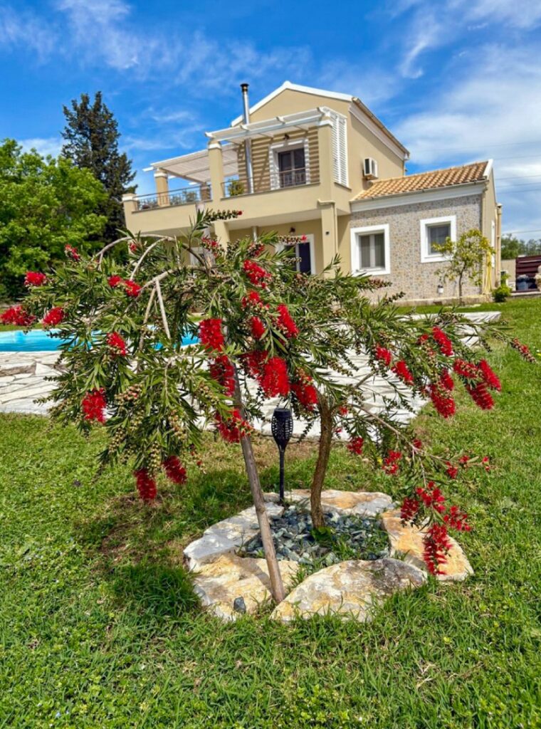 Renovated 2 Bedroom House with Private Pool and 2,200m² Plot in Poulades, Corfu €550,000 (13)