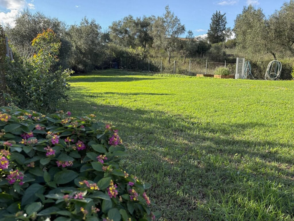 Renovated 2 Bedroom House with Private Pool and 2,200m² Plot in Poulades, Corfu €550,000 (23)
