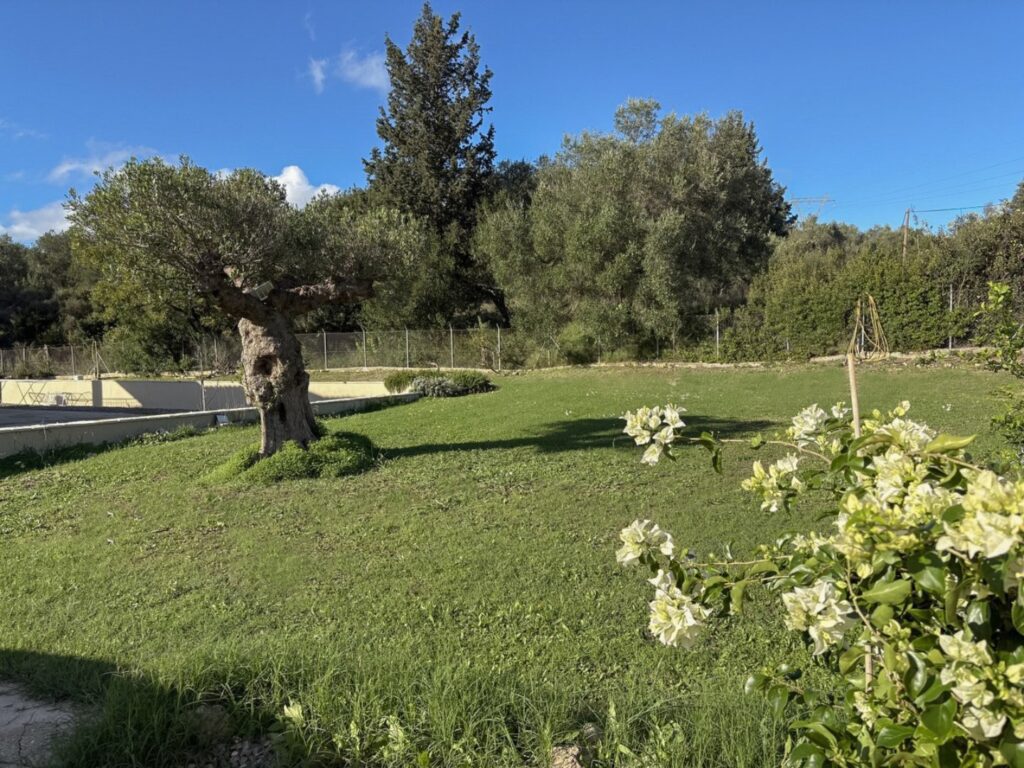 Renovated 2 Bedroom House with Private Pool and 2,200m² Plot in Poulades, Corfu €550,000 (24)