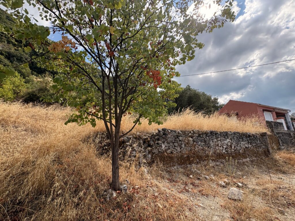 Sea View Building Plot with Villa Permit in Episkepsi, North Corfu €85,000 (4)