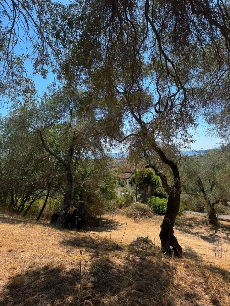 Sea View Building Plot within Walking Distance of Ipsos Beach, Agios Markos €200,000 (4)