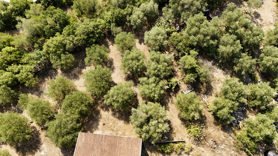 Listing photograph 6 of 18 of the house in Agios Ioannis, published by Chase Real Estate Corfu.