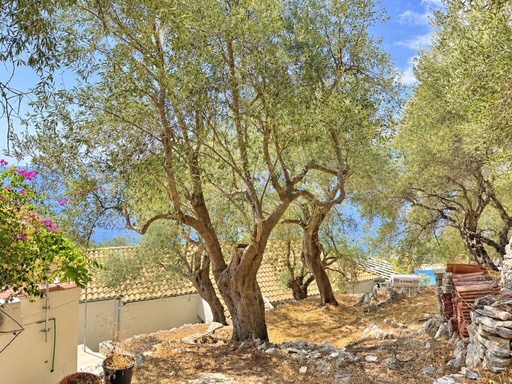 Renovated Three Apartment Property with Panoramic Sea Views, Nissaki €580,000 (10)