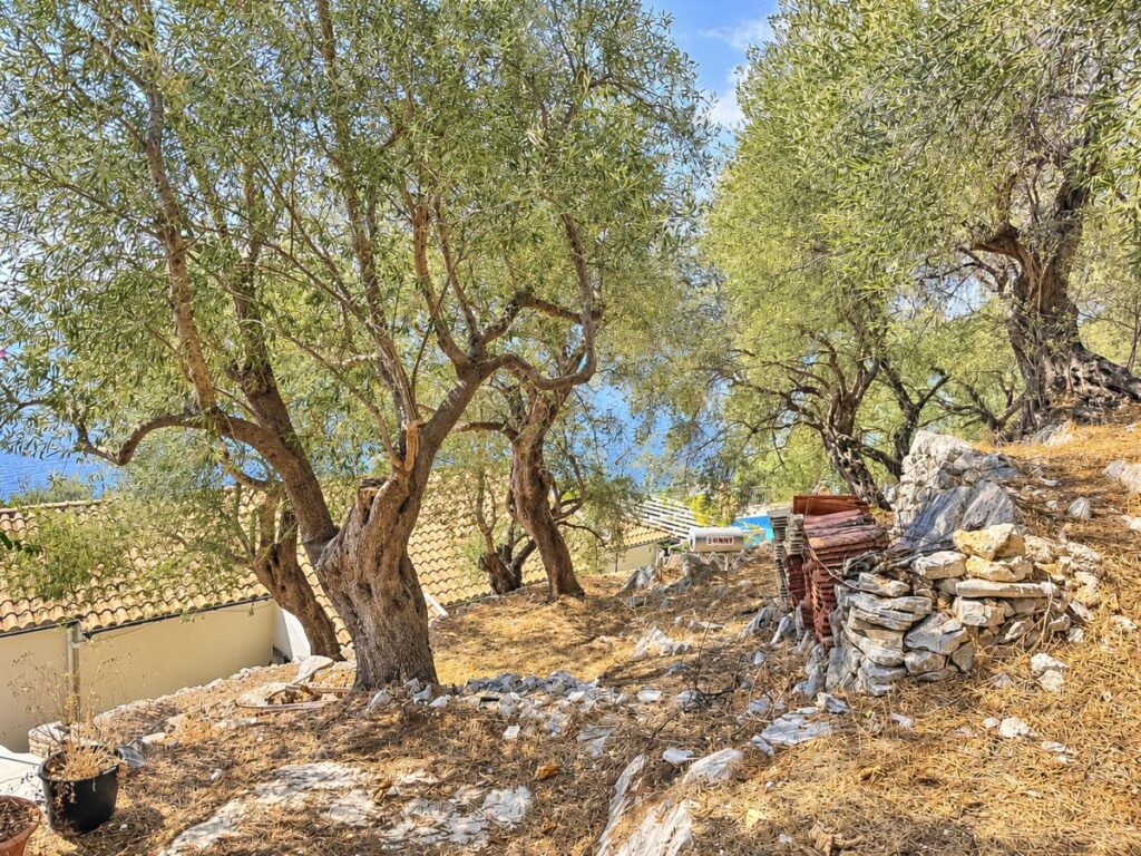 Renovated Three Apartment Property with Panoramic Sea Views, Nissaki €580,000 (11)